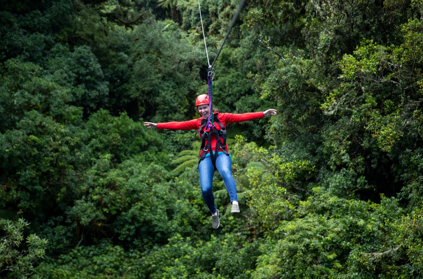 Zipline